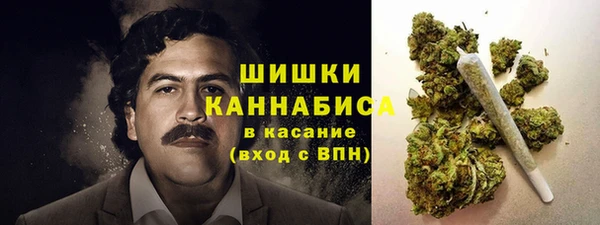 PSILOCYBIN Абаза
