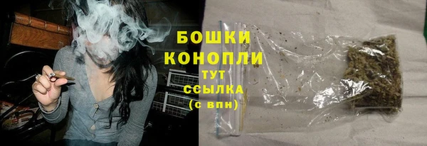 PSILOCYBIN Абаза
