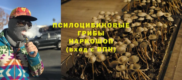 PSILOCYBIN Абаза