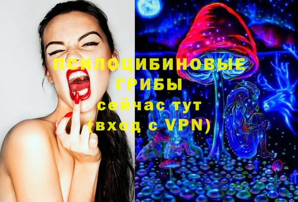 PSILOCYBIN Абинск
